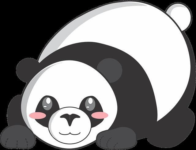 特稿|中朝多领域合作为两国友好注入源源动力