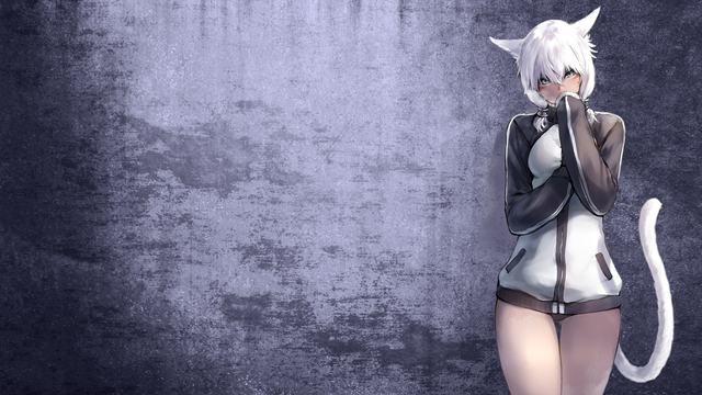 海角社区 在线观看免费版-海角社区 在线观看最新版vv55安卓版_nekohe安卓网