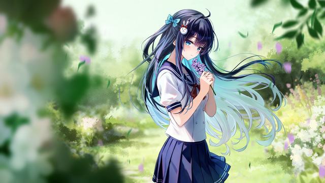 梦之花